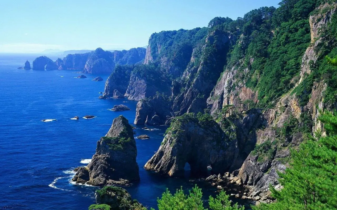 高端高标准全自动